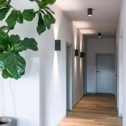 ORTHO Zweiflammige Beton-Wandleuchte