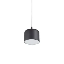 TARRO Kleine Pendelleuchte mit lackiertem Metallschirm